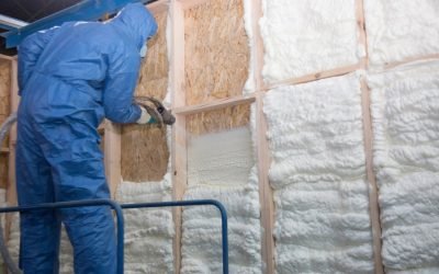 Can mold grow on spray foam insulation Spray Foam Insulation Plus