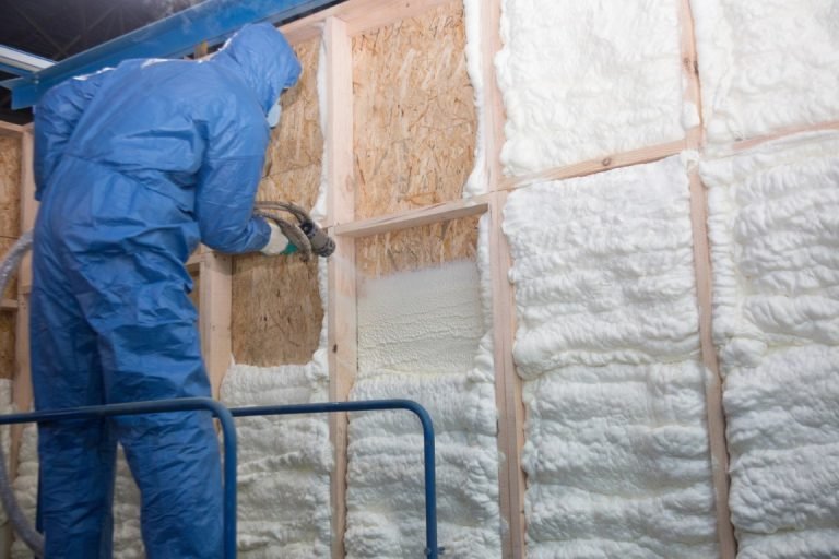 View of Can Mold Grow On Spray Foam Insulation? | Spray Foam Insulation Plus